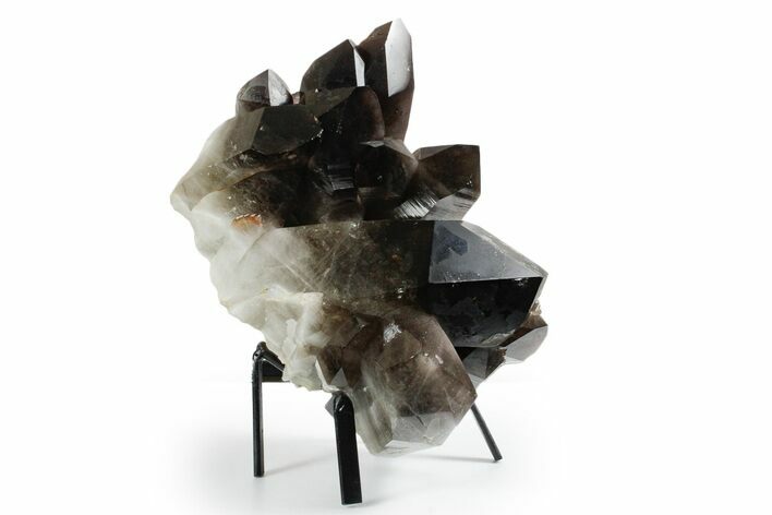 Dark Smoky Quartz Crystal Cluster on Metal Stand - Brazil #349478